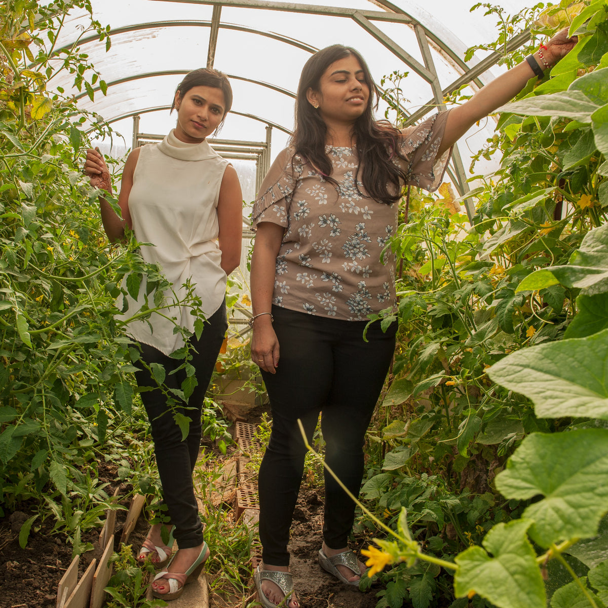 Organic Farm Tour
