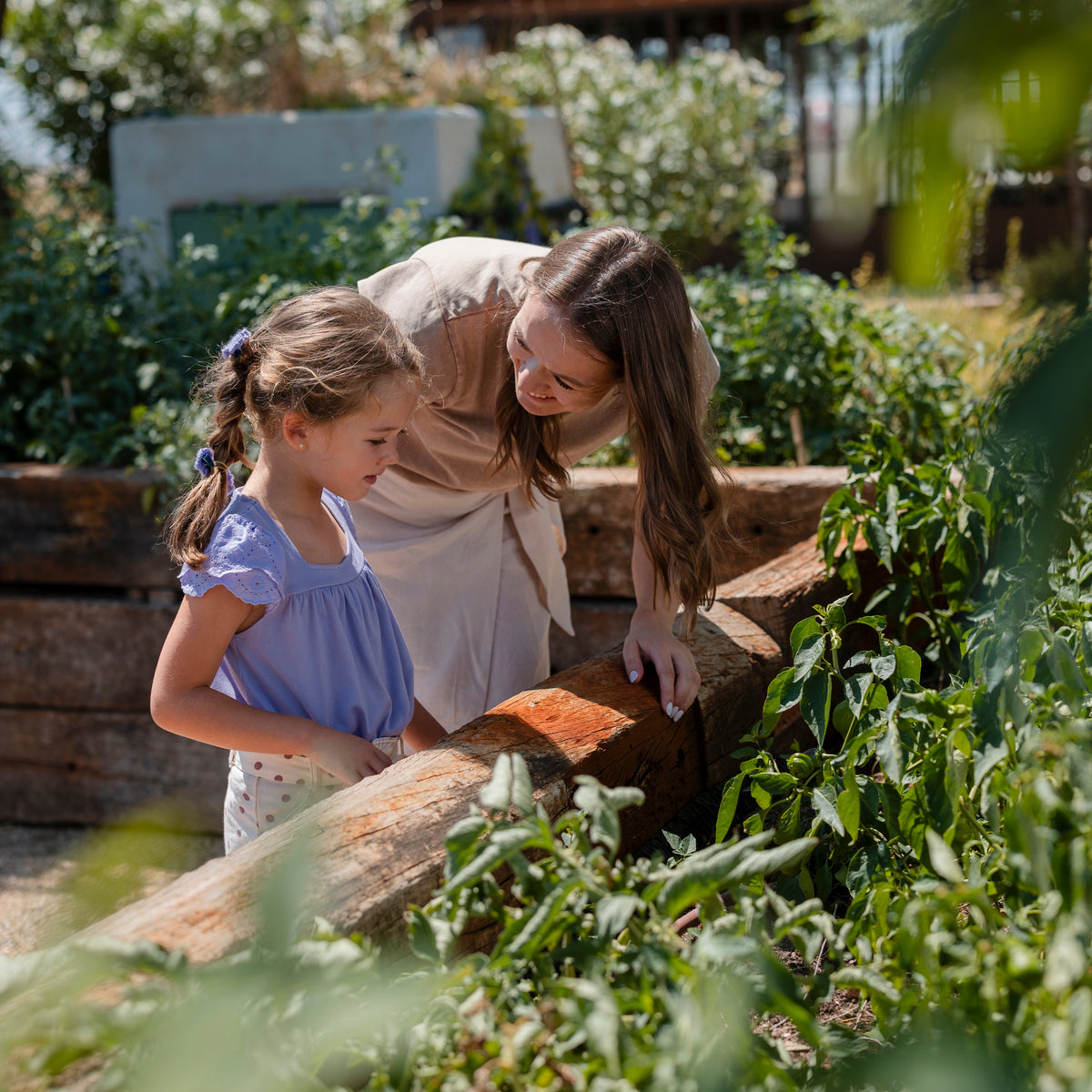Organic Farm Tour