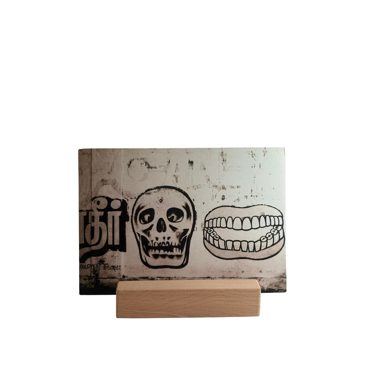 Skeleton Smile Postcard